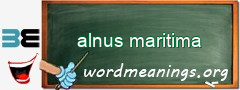 WordMeaning blackboard for alnus maritima